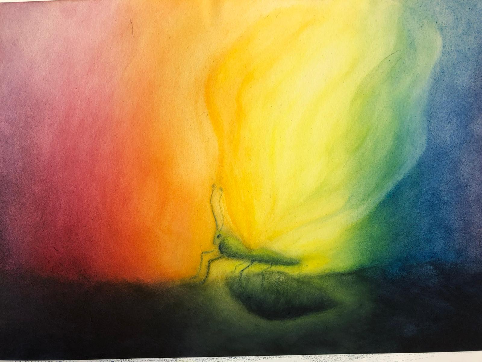 Aquarelle arc-en-ciel avec papillon