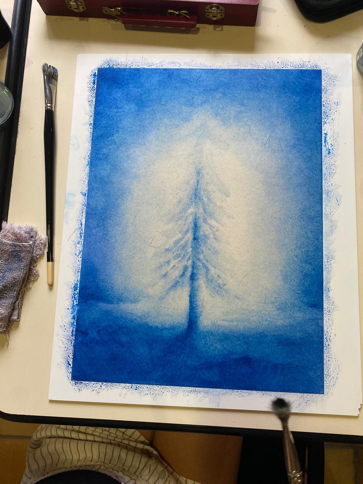 Sapin blanc émergeant du bleu