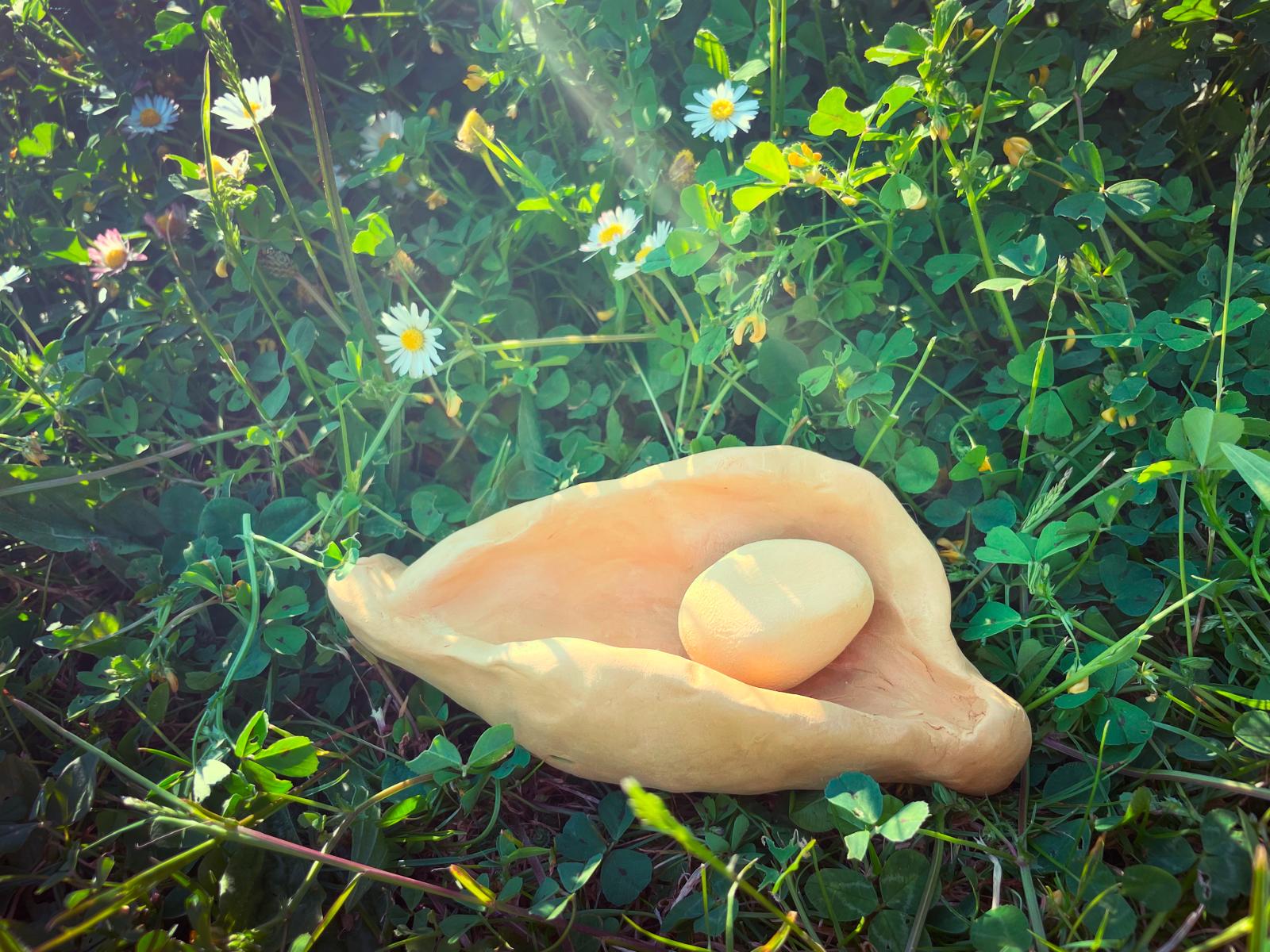 Coquille protectrice